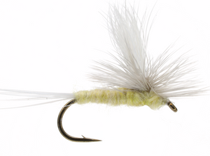 Parachute PMD Parachute PMD