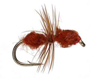 Cinnamon Fire Ant Cinnamon Fire Ant