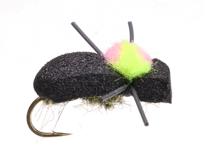 Black Foam Beetle Black Foam Beetle