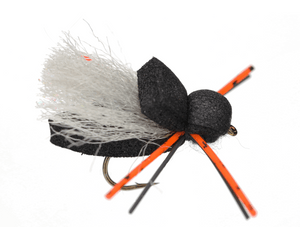 Orange Leg Cicada Orange Leg Cicada