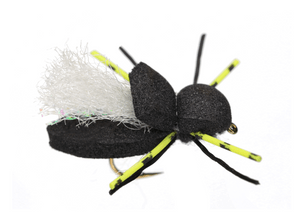 Yellow Leg Cicada Yellow Leg Cicada