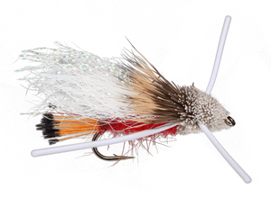 Red Tarantula Red Tarantula