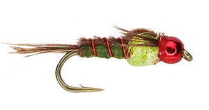 Christmas Tree Nymph