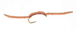 Brown San Juan Worm