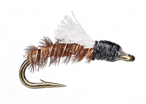 PT Emerger PT Emerger