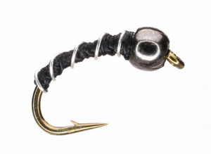 Black Zebra Black Zebra