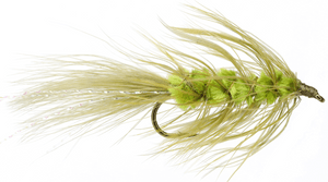 Olive Wooly Bugger Olive Wooly Bugger