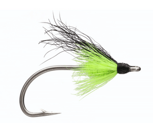 Chartreuse Sockeye Special