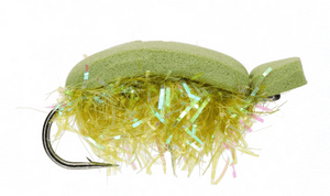 Olive Pyramid Beetle Olive Pyramid Beetle