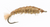 Tan Crane Fly Larva