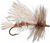 Sofa Pillow Salmonfly