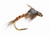 PMD Biot Nymph