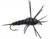 Bead Black Stonefly Nymph