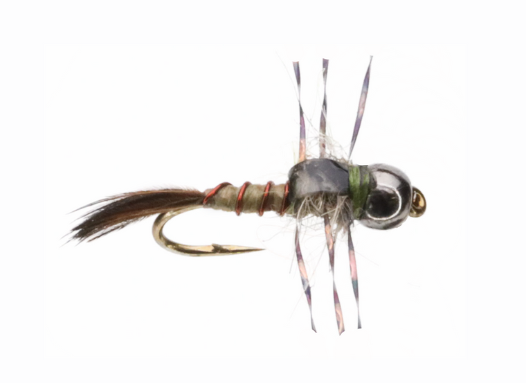 Tan Bug E Nymph