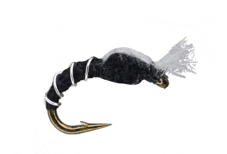 Black CDC Pupa