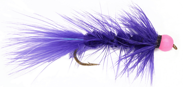 Purple Egg Sucking Leech