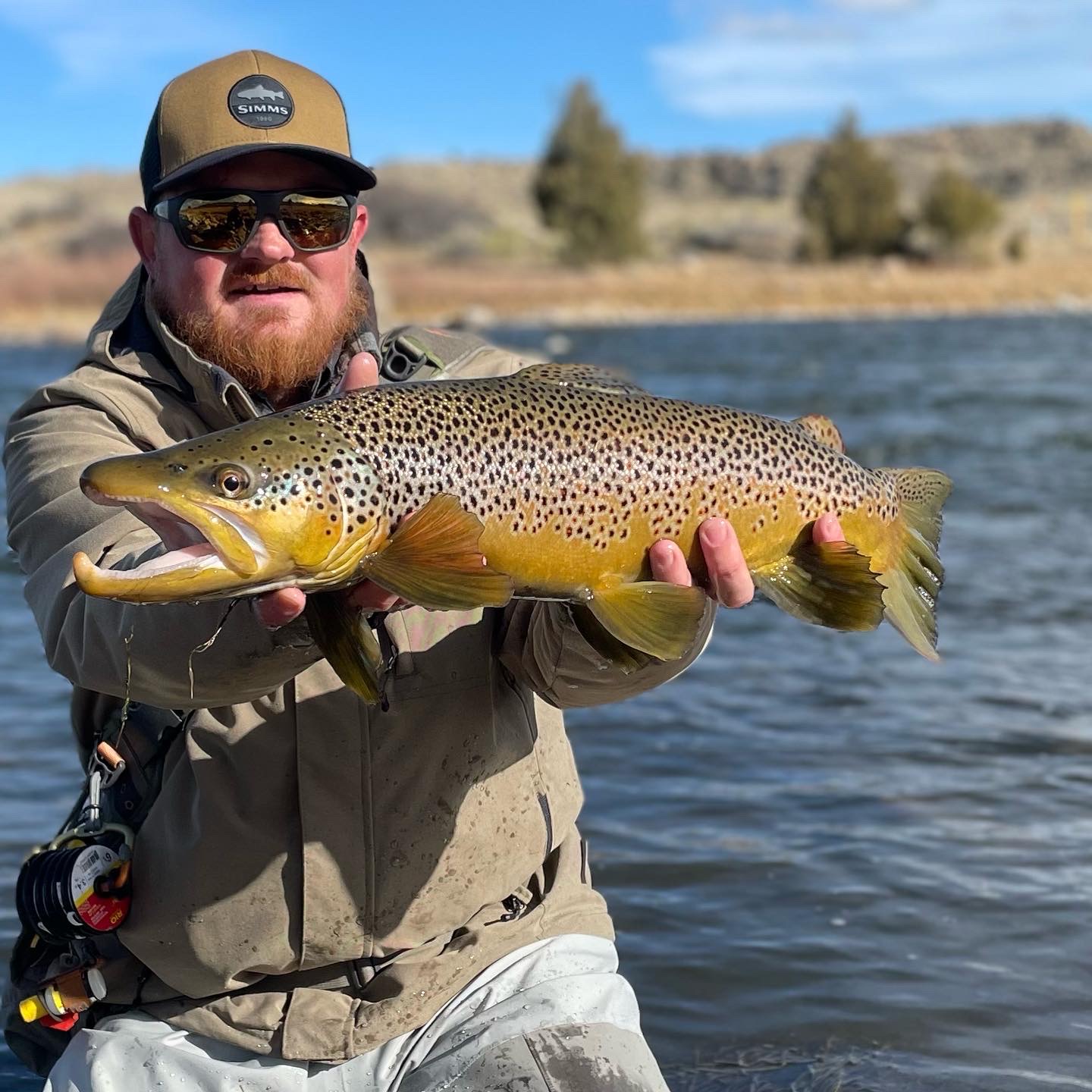 New Flies and Big Fish - RoundRocks