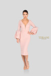 Terani Couture 1912C9643 Long Sleeves Knee Length Dress