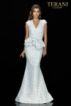 Terani Couture 2011M2166 Cap Sleeved Stretch Jacquard Gown