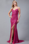 Amelia Couture BZ011 Mesh Sequins Long Dress
