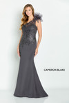 Cameron Blake by Mon Cheri CB132 Embroidered Tulle Dress