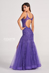 Colette by Daphne CL2024 Novelty Lace Tulle Prom Dress