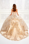 Princesa by Ariana Vara PR22022 Novelty Allover Lace Gown