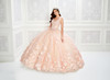 Princesa by Ariana Vara PR22021NL Glitter Tulle Beaded Gown