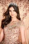 Princesa by Ariana Vara PR22026 Glitter Tulle Long Ball Gown