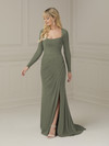 House of Wu 17101 Stretch Mesh Scoop Neck Long Sleeve Dress