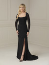 House of Wu 17101 Stretch Mesh Scoop Neck Long Sleeve Dress