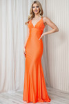 Amelia Couture BZ018 Mesh Embroidery Sleeveless Long Dress