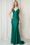Amelia Couture BZ018 Mesh Embroidery Sleeveless Long Dress