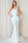 Amelia Couture 7028 Satin Mesh Sequins Sleeveless Long Dress