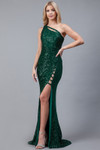 Amelia Couture 5041 Mesh Sequins Sleeveless Long Dress