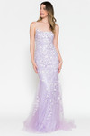 Amelia Couture 799 Mesh Embroidery Sleeveless Long Dress