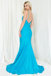 Amelia Couture 386 Lycra Illusion Neck Sleeveless Long Dress