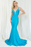 Amelia Couture 386 Lycra Illusion Neck Sleeveless Long Dress