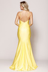 Amelia Couture 386 Lycra Illusion Neck Sleeveless Long Dress