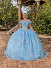Dancing Queen 1694 Off Shoulder Feathers Neck Ballgown