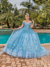 Dancing Queen 1692 V-Neck Strap Sleeve Quinceanera Gown