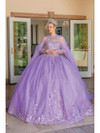 Dancing Queen 1691 Sheer Long Sleeve Beaded Long Ballgown