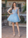 Dancing Queen 3339 Illusion V-neck Floral Applique Dress