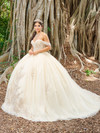 Fiesta Gowns 56493 Lace Tulle Off Shoulder Sleeve Ball Gown