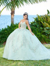 Fiesta Gowns 56498 Lace Tulle Spaghetti Strap Long Ball Gown