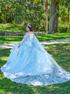 Quinceanera 26077 Lace Tulle Spaghetti Strap Neck Ball Gown