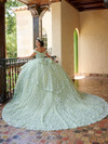 Quinceanera 26080 Lace Tulle Off Shoulder Sleeve Ball Gown