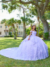 Quinceanera 26080 Lace Tulle Off Shoulder Sleeve Ball Gown