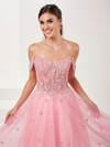Tiffany Designs 16064 3D Floral Sparkle Tulle Long Dress