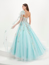 Tiffany Designs 16079 Floral Tulle One Shoulder Long Dress